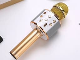 Draadloze Karaoke Microfoon met Bluetooth en Echo Effect - Speaker - USB - met Opbergcase - Goud — thumbnail 3