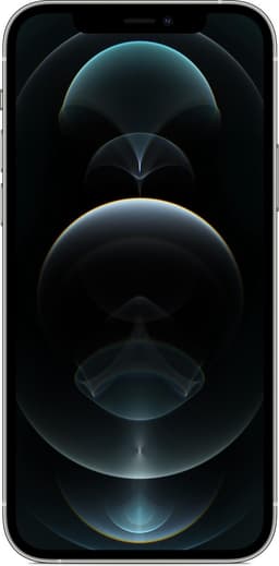 Apple iPhone 12 Pro - 256GB - Zilver — thumbnail 3