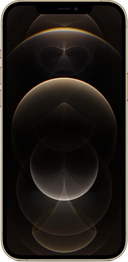 Apple iPhone 12 Pro Max - 256GB - Goud — thumbnail 1