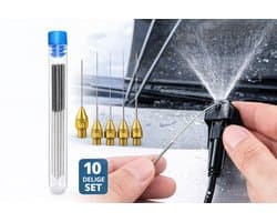 10-delige RVS Reinigingsnaalden Set voor Ruitenwissersproeiers – Geschikt voor Auto Sproeiers, 3D Printer Nozzles, Gasfornuis Openingen en Douchekoppen