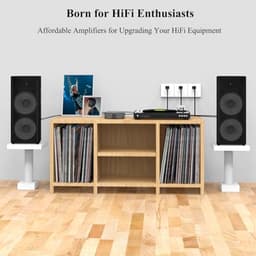 Mini Hi-Fi Versterker 300W x 2 Stereo met Geavanceerd Warmteafvoersysteem — thumbnail 1