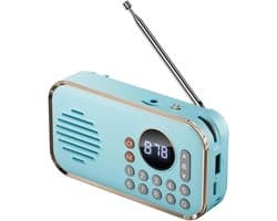 Draagbare FM Radio Oplaadbare Kleine Draadloze Bluetooth Speaker Surround Stereo Geluid USB Vintage Radio's Blauw