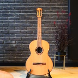 VG klassiek - Set van 6 Gitaarsnaren voor Klassieke Akoestische Gitaar - Snarenset - Nylon Snaren — thumbnail 4