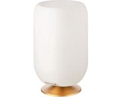 Kooduu Atmos 35 Bluetooth Speaker met LED Lamp Dimbaar en Wijnkoeler - Brons