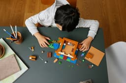 LEGO Minecraft Het kikkerhuis - 21256 — thumbnail 21