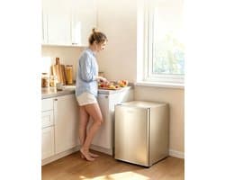 Eendeurs minikoelkast 29L alleen koelfunctie goudkleurig energielabel A geluidsniveau 38 dB voor studentenkamer kantoor en slaapkamer afmetingen 55*40*39 cm