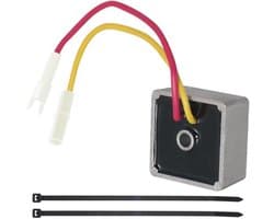 Dailygoods- Spanningsregelaar Vervanging voor B S 491546 - Geschikt