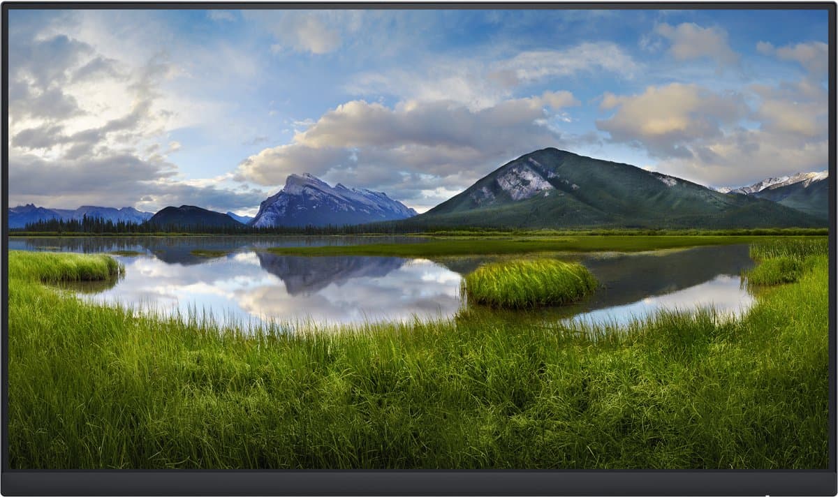 Monitor Dell P2422HE IPS LED 23,8" LCD (Zonder standaard) — afbeelding 1