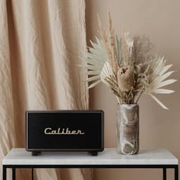 Caliber Retro Speaker - Bluetooth Speaker - Vintage Speaker - 200 Watt Vermogen - Bluetooth - TWS - Bass en Treble regelbaar (HFG411BT-GBR) — thumbnail 5