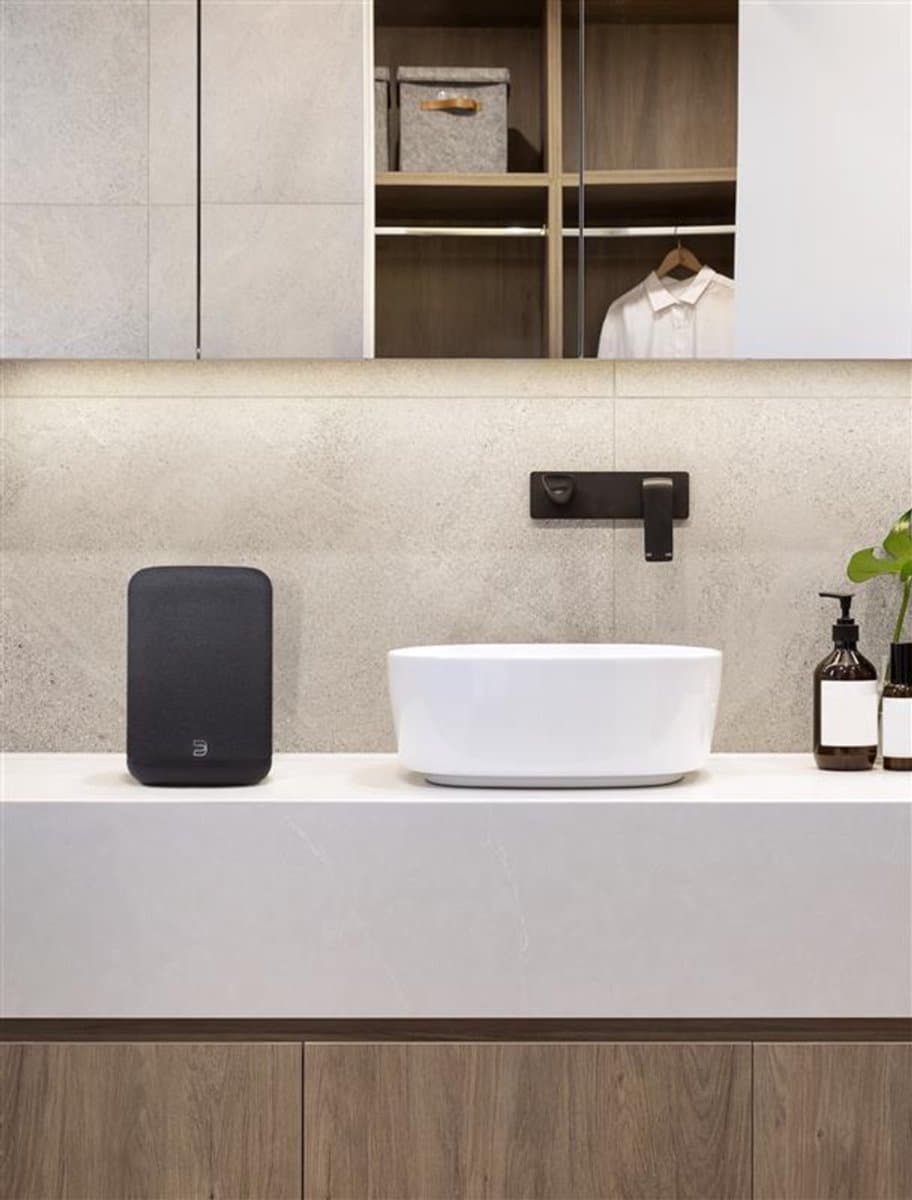 Bluesound Pulse Flex (P130) Zwart |  | 0786357003337 — afbeelding 1