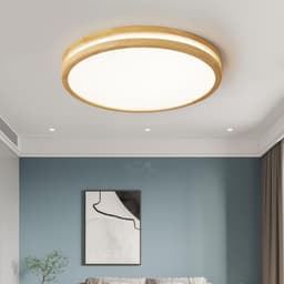 Ronde Dimkrachtige LED Plafondlamp met Afstandsbediening voor Woonkamer en Slaapkamer — thumbnail 3