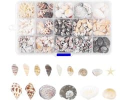 Mini Sterrenvis en Schelpen 800 Stuks Klein voor Creatieve Projecten, Huisdecoratie en Aquariums
