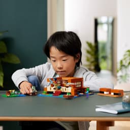 LEGO Minecraft Het kikkerhuis - 21256 — thumbnail 11