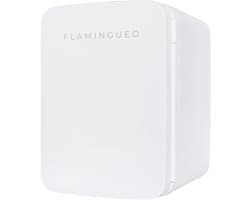 Mini Koelkast 10L - Draagbare Koelkast voor Cosmetica en Voedsel met Warm en Koud Functie