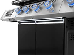 Napoleon Prestige Pro 500 — thumbnail 2