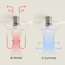Fantiluxe - Filip - Plafondventilator met verlichting - Zilver - Ø132cm - Afstandsbediening - Met lamp - Plafond ventilator - Slaapkamer — thumbnail 5