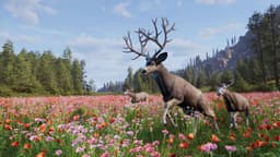THQ Nordic Way of the Hunter 2 - Game - Deluxe Editie - PlayStation 5 - Blu-ray — thumbnail 5