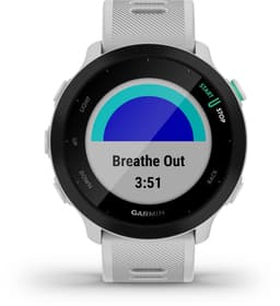 Garmin Forerunner 55 - Sporthorloge met GPS Tracker - Geschikt voor Hardlopen - 42mm - Whitestone — thumbnail 8