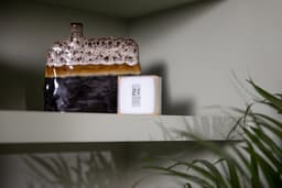 Netatmo NTH-PRO thermostaat — thumbnail 4