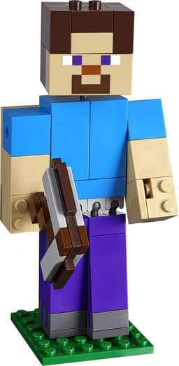 Steve BigFig with Parrot — thumbnail 3