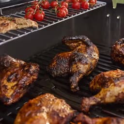 Weber Genesis E-335W — thumbnail 5