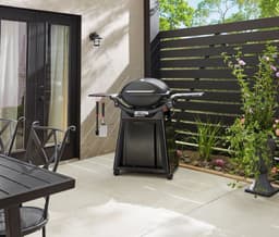 Gasbarbecue q 3200n — thumbnail 5