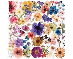 50 Stuks - Bloemenstickers - Transparant - Bloemenstickers Voor Scrapbooking - Flower Stickers - Floral Stickers - Geschikt Voor Scrapbooking, Kaarten Maken, Verpakkingen, Doe-Het-Zelf-Knutselwerkjes, Waterflessen, Telefoonhoesjes En Laptops