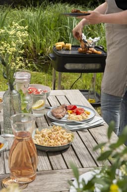 Fritel BBQ 3256 |  | 5410585421902 — thumbnail 2