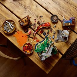 LEGO Ideas Dungeons & Dragons - het verhaal van de rode draak - 21348 — thumbnail 2