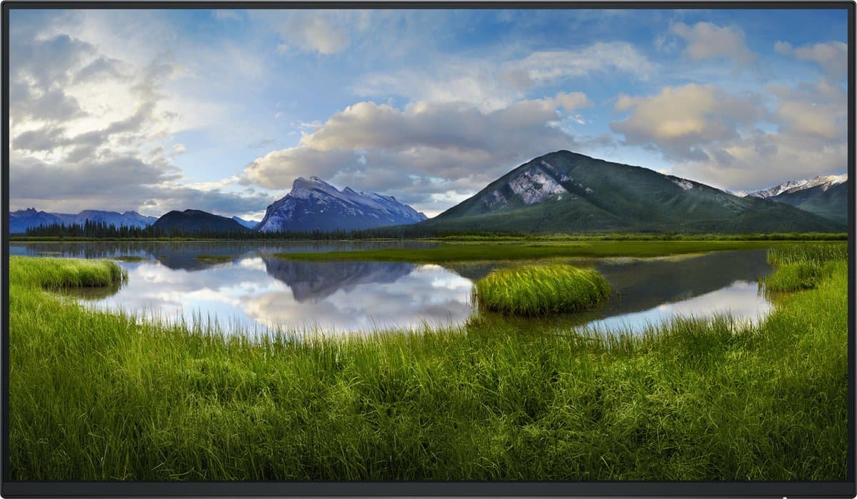 DELL 24 Monitor P2425H 23.8inch — afbeelding 1