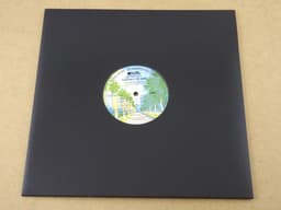 10 Stuks LP kartonnen buitenhoezen zwart (GOEDE KWALITEIT, 300gr karton) met 2 middengaten - hoezen, platenhoezen, beschermhoes, cardboard sleeve, outer cover, maxi-singles, lps vinyl platen, 12", 12 inch — thumbnail 2