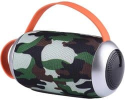 Draagbare Bluetooth Speaker met 10W Vermogen, Waterdicht, Radio en Oplaadbare Batterij