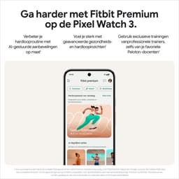 Google Pixel Watch 3 - Smartwatch - 45mm - Grijsgroen/Grijsgroen — thumbnail 9
