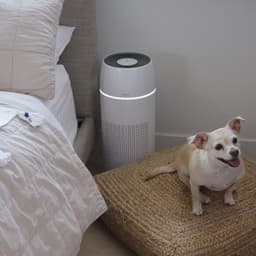 HoMedics Pet35 Luchtreiniger met Ionisator - 5 in 1 - HEPA Filter en UV-C - Dieren allergie - Zeer geschikt voor huishoudens met dieren — thumbnail 13