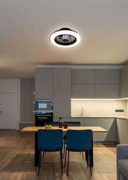 REALITY ROTSUND - Ventilator - Zwart mat - incl. 1x SMD 22 W - Afstandsbediening - Geintegreerde dimmer - Traploos instelbare lichtkleur - 5 snelheidsniveaus - Geheugenfunctie via de afstandsbediening - Zomer- en wintermodus — thumbnail 4