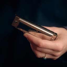 Diatonische mondharmonica 10-gaats in C - Fazley MHM-01 - Zilver — thumbnail 2