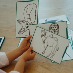 BEAU by Bo Kidywolf Kidydraw Mini Tekenboek met LCD-scherm Dieren + Refill Once upon a time & Animals — thumbnail 3