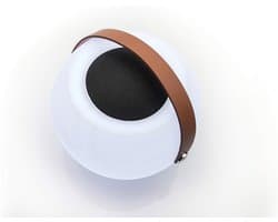 Draagbare Bluetooth Speaker met Muziek & RGB Lichtshow