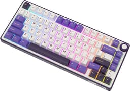 Royal Kludge RKR75 - RGB Mechanisch Gaming Toetsenbord - Foam Touch - Hot Swappable Switch - Blackberry - Brown Switches - Inclusief Stofkap — thumbnail 5
