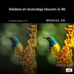 Sony BRAVIA 2 II - 75 inch - 4K LED - 2026 — thumbnail 20