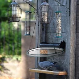 stuks vogelzaadbakken met 8 haken, hangende vogelzaadweegschaalhouder, platformvoederbak om vogels aan te trekken, buiten, achtertuin, huis, tuin — thumbnail 4