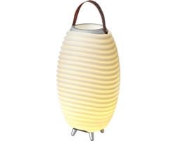 Kooduu Synergy 50 Lamp En Speaker