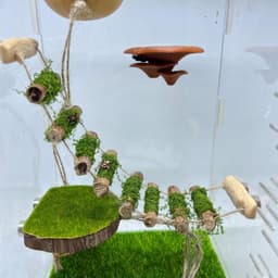 Spider Rope Bridge, een massief houten klimbrug, een accessoire voor springende spinnenbehuizing, handgemaakt, een spinsprongplatform, gebruikt als decoratief accessoire voor kleine — thumbnail 3