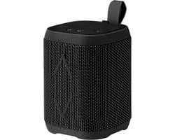 Blaupunkt - Bluetooth Speaker - FM - Zwart - BLP3795-133
