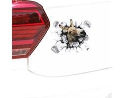 GoedeDoelen.Shop | Auto Sticker Hello Donkey | Ezel Sticker | Ezel | Afmeting: 18 x 14 CM | Bumpersticker | Laptop Sticker | Sticker | Cadeau