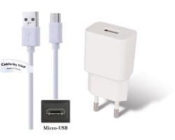 OneOne 2A lader + 0,50m standaard USB C kabel. Universele oplader adapter past op Kobo (Rakuten) eReader Mini, ARC 7, ARC 7HD, ARC 10HD, Aura 1, Aura HD, Aura H2O, Aura One (Niet voor Kobo model Wifi)
