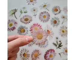 Madelief stickers - bloemen - Transparante stickers - 40 stuks - Scrapbook - Bullet journal stickers - laptop stickers - Stickers volwassenen en kinderen