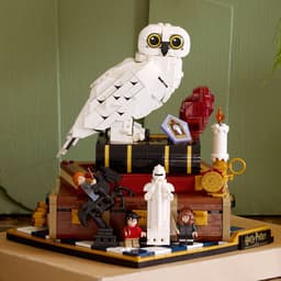 Lego Harry Potter 76466 Harry Potter – Verzameleditie Bouwstenen — thumbnail 4