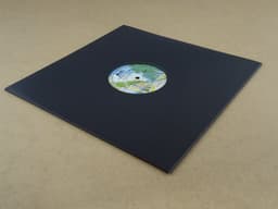 10 Stuks LP kartonnen buitenhoezen zwart (GOEDE KWALITEIT, 300gr karton) met 2 middengaten - hoezen, platenhoezen, beschermhoes, cardboard sleeve, outer cover, maxi-singles, lps vinyl platen, 12", 12 inch — thumbnail 4