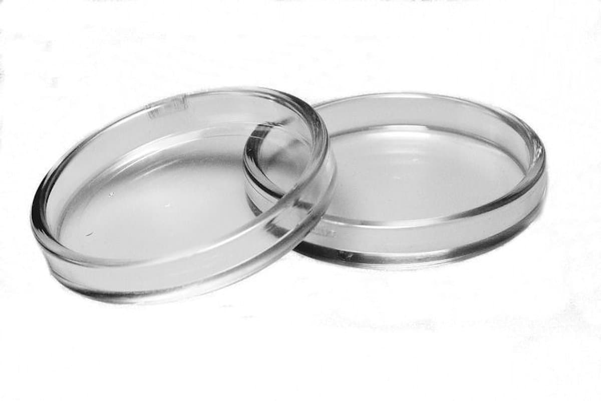 Set piano schotels doorzichtig - onderzetters meubels - bescherming voor vloer - caster cups — afbeelding 1